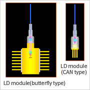 LD, PD