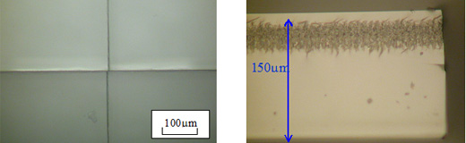 t150µm Sapphire substrate