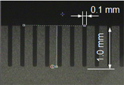 Picture of cross section