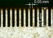 Picture of cross section