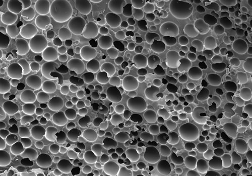 MuCell®プロセスにより生成された微細発泡セル画像