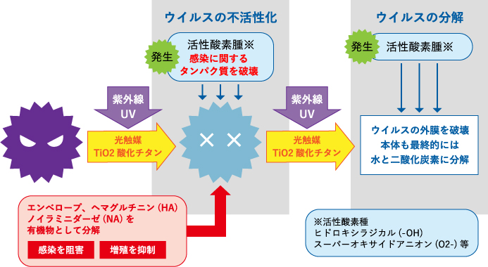 イメージ | 抗菌・抗ウイルス効果について
